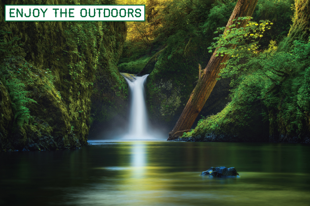 Fenix LED Flashlights