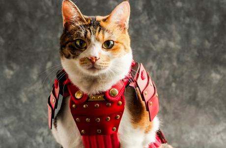 Pet Clothing Samurai Pet Armor