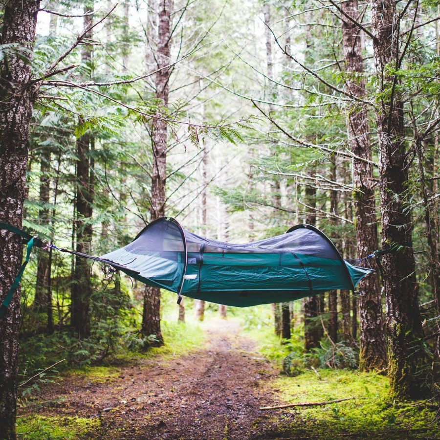 Blue Ridge Camping Hammock and Tent–Heavenly Hanging
