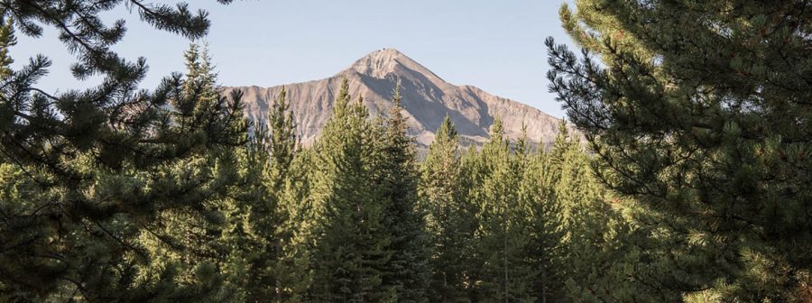 Collective Retreats Offers Luxury Camping Trips From NY to Yellowstone