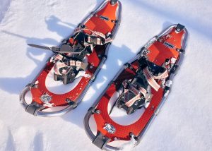 Snowshoes-Best-Snowshoes