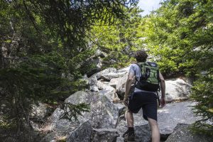 Hiking Mount Monadnock 2019
