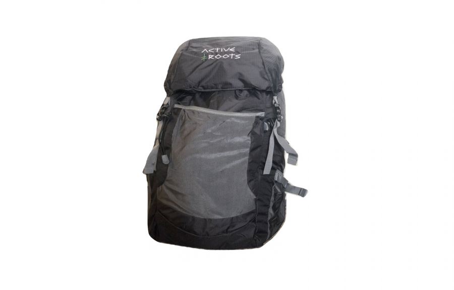 roots backpack price