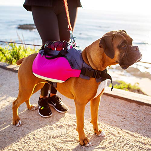 Bum's Pack Dog Backpack